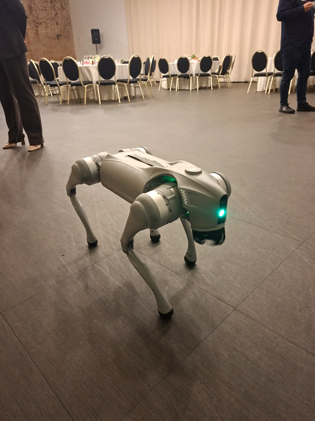 Robohond, Entertainer in Vilnius